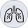 lungs